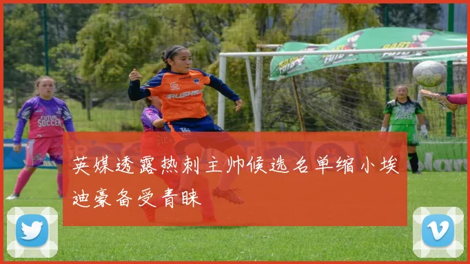英媒透露热刺主帅候选名单缩小埃迪豪备受青睐