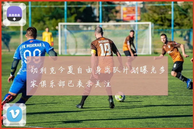 切利克今夏自由身离队计划曝光多家俱乐部已表示关注
